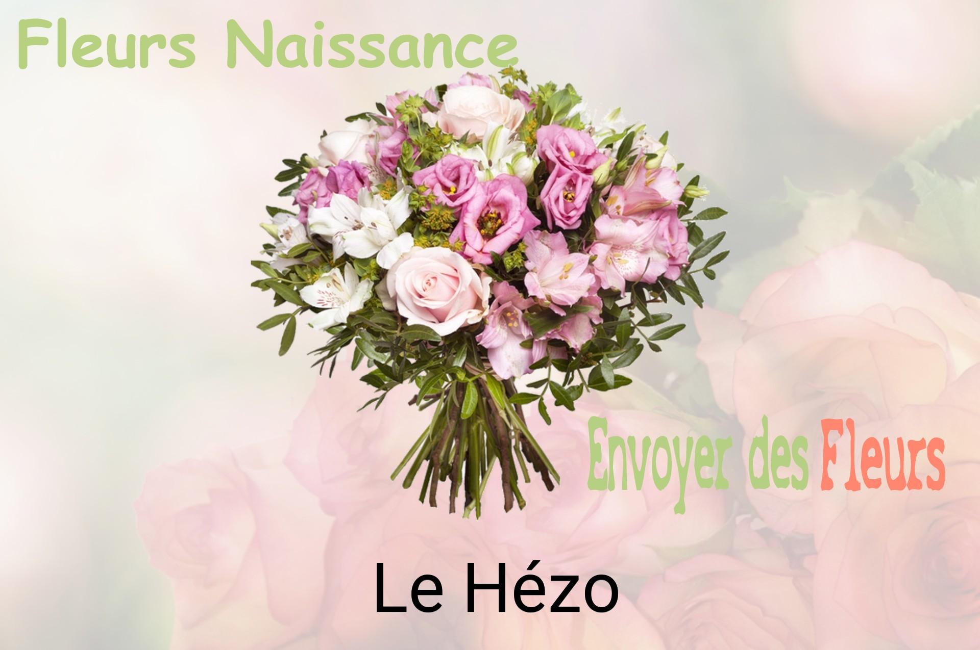 Bouquet de fleurs de naissance livré à Le Hézo
